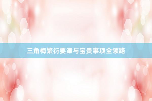 三角梅繁衍要津与宝贵事项全领路